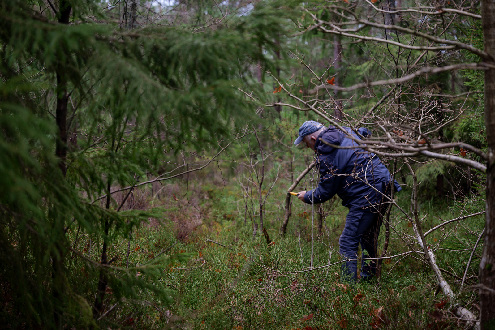 Møteplassen Skogens menn